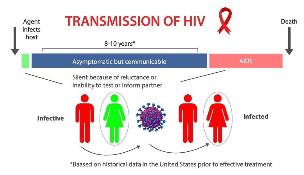 Human Immunodeficiency Virus